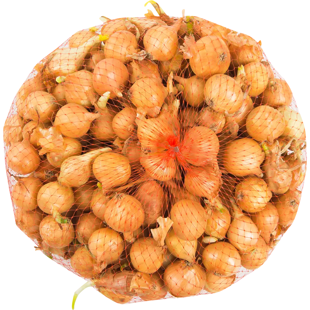 Лук севок Штуттгартер ризен 1 кг ПОИСК STLM-2079466