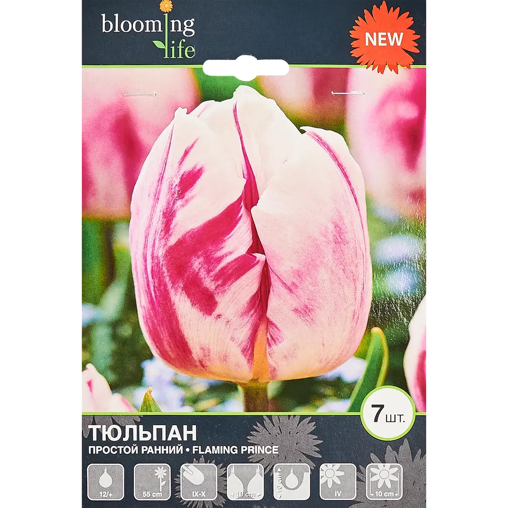 Тюльпан «Флеминг Принц» размер луковицы 12, 7 шт BLOOMING LIFE STLM-2191315