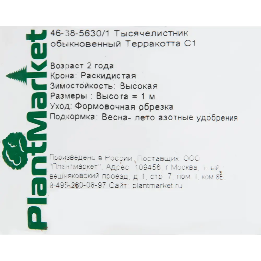 Тысячелистник обыкновенный «Терракотта» 14x40 см PLANTMARKET STLM-2024468 - Вид №1