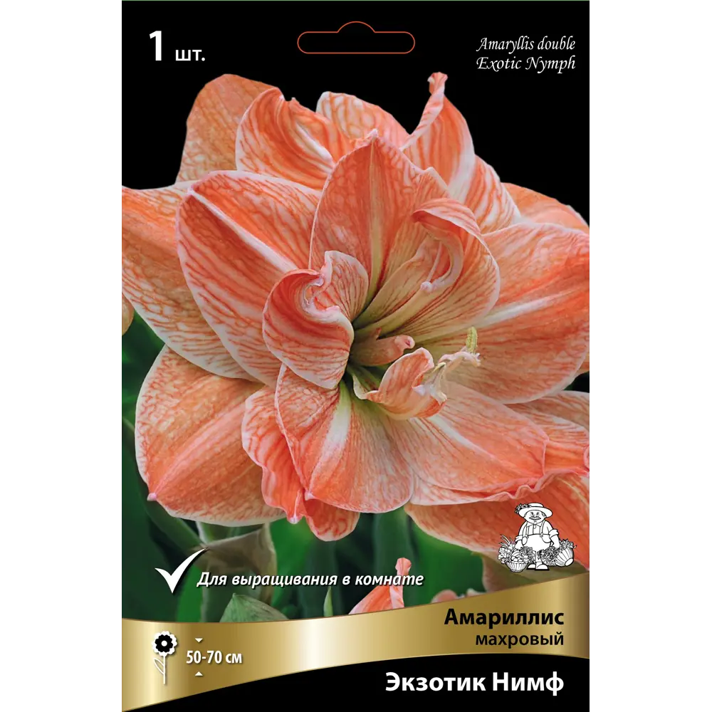 Амариллис махровый Экзотик Нимф 89452216 STLM-2204408 ПОИСК 
