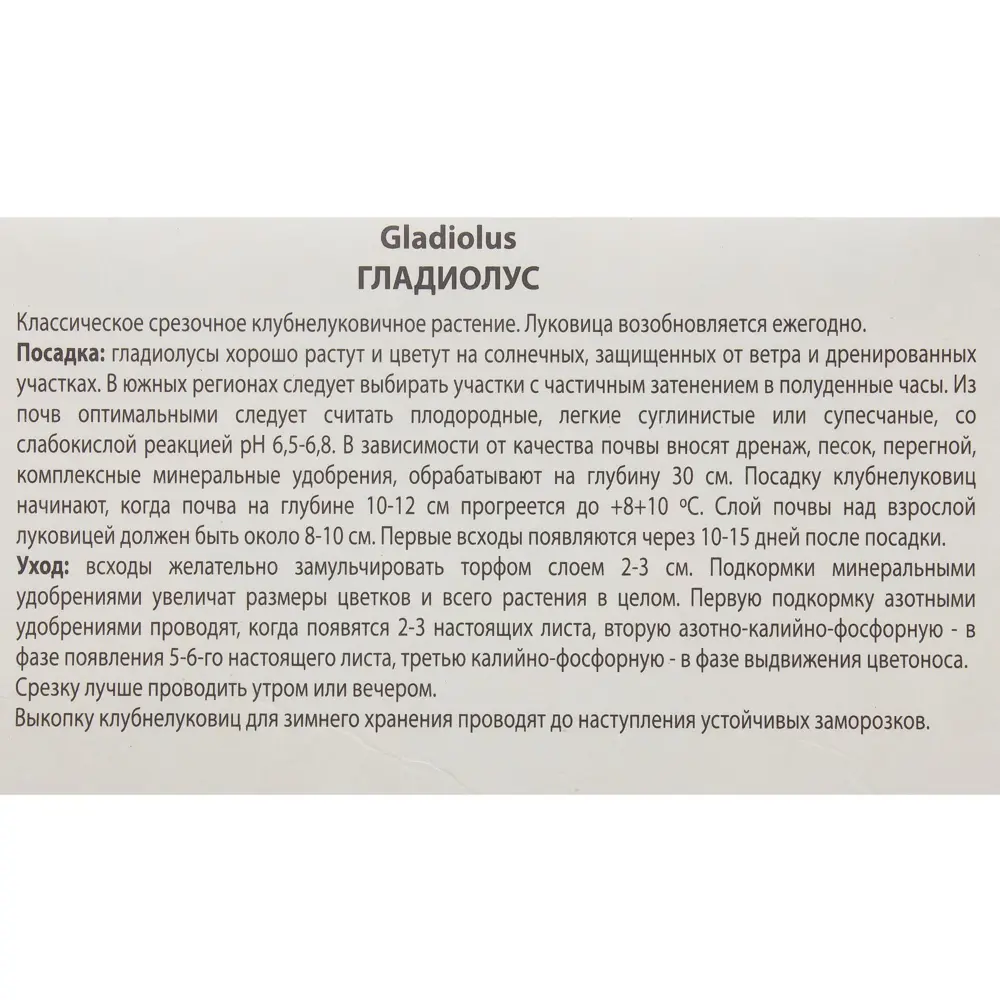 Гладиолус крупноцветковой «Джо Джо» ПОИСК STLM-2168359 - Вид №2