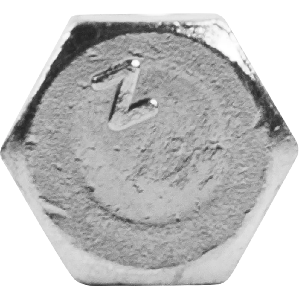 Шуруп с шестигранной головкой 8х80 мм Santreyd STLM-2202358 - Вид №1