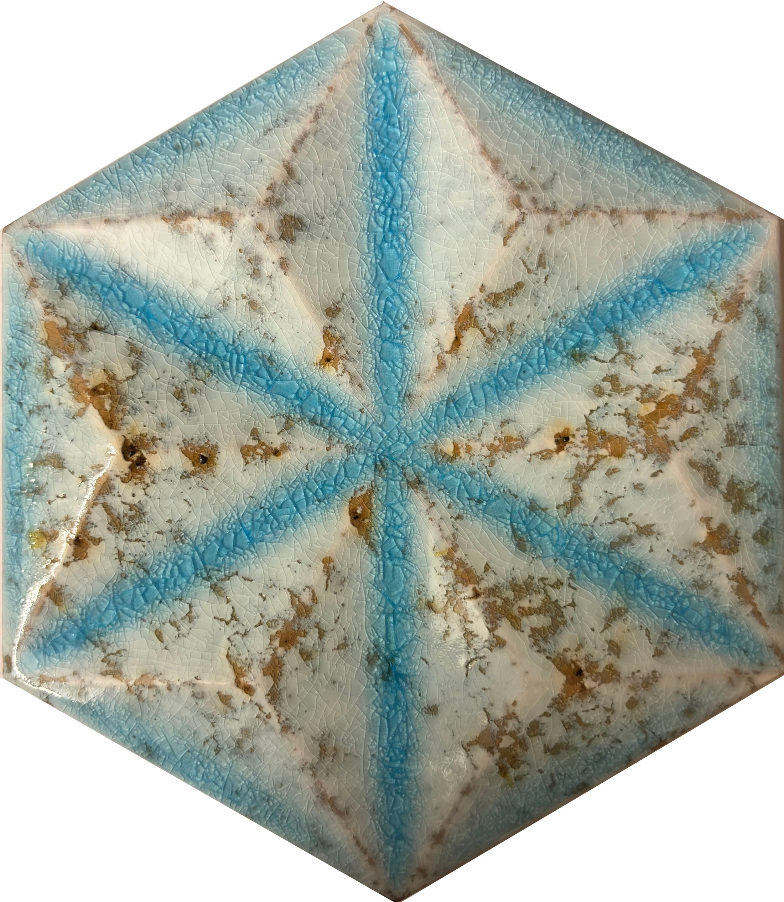 Двухгорячая керамическая облицовка для интерьера Acquario Due Exa16 Stella ARCH-00039812 - Вид №2