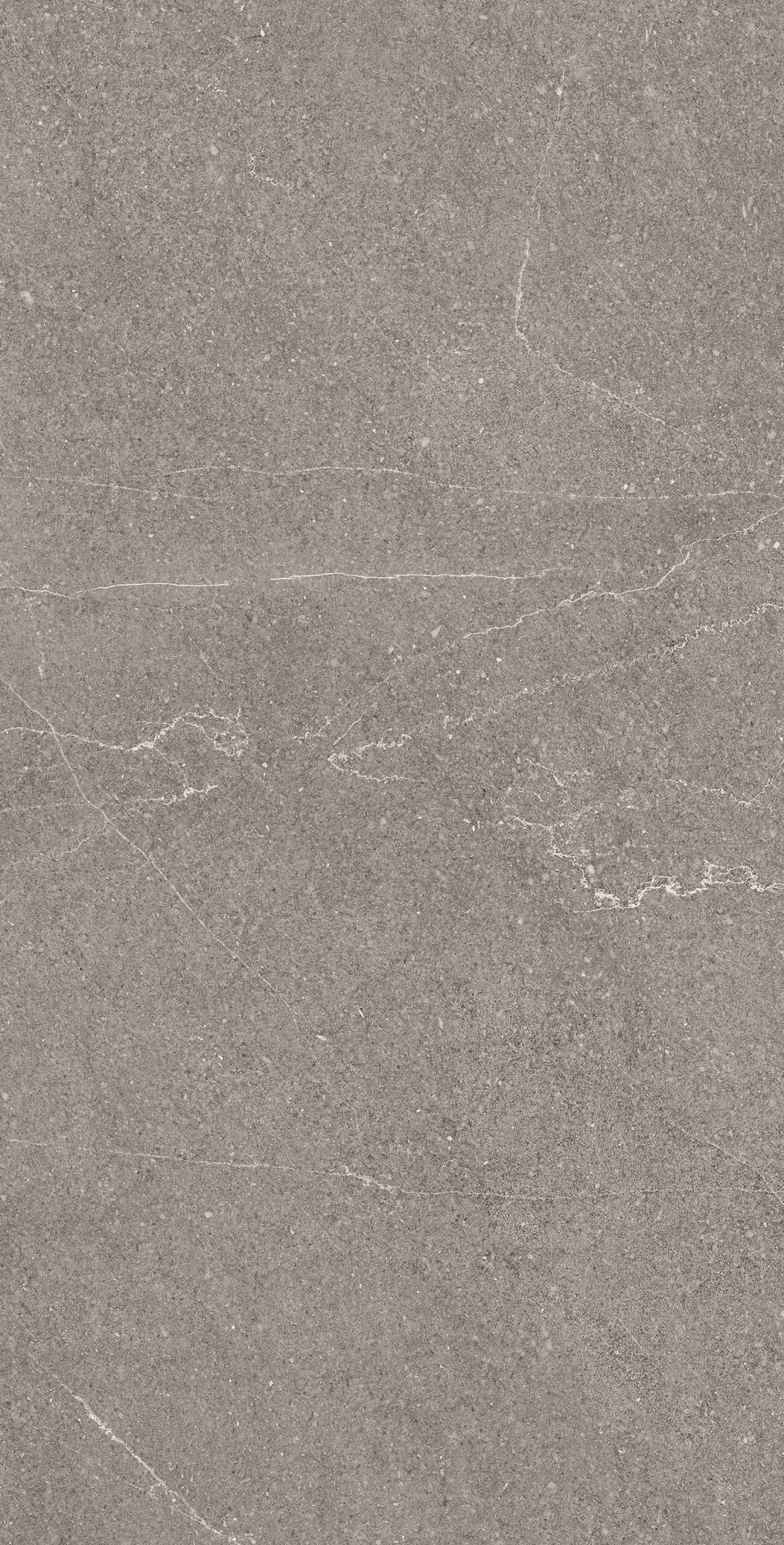 Керамогранит EQUISTONE GRAPHITE 60х120 Arcadia Ceramica RG6002-A - Вид №4