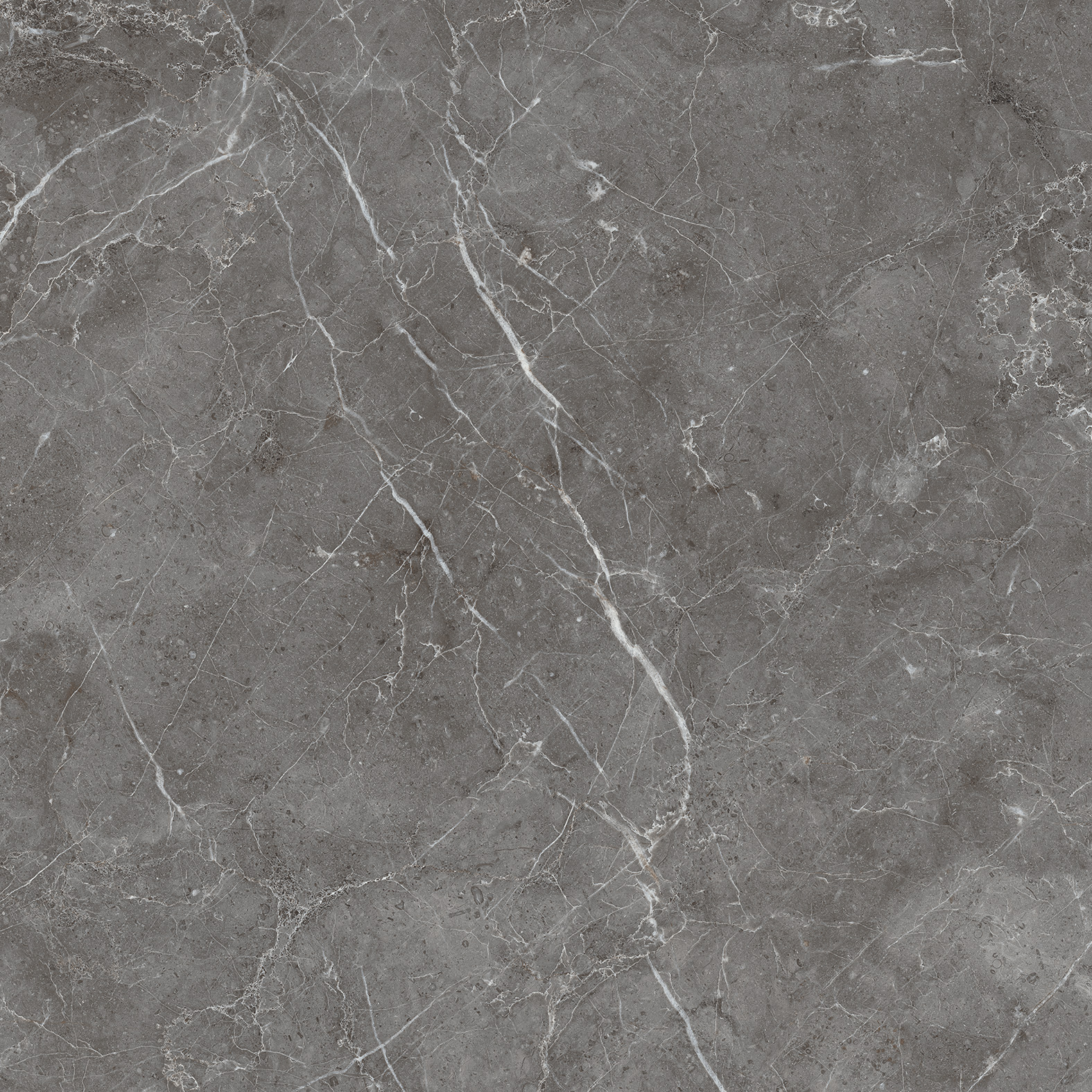 Керамогранит ESPERIA GRIGIO 60х60 Arcadia Ceramica CR6001-A  - Вид №4