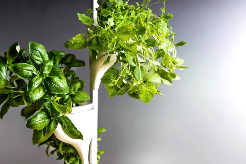 Natufia Отдельно стоящий кухонный модуль для гидропоники sun-id-1432001 - Вид №20