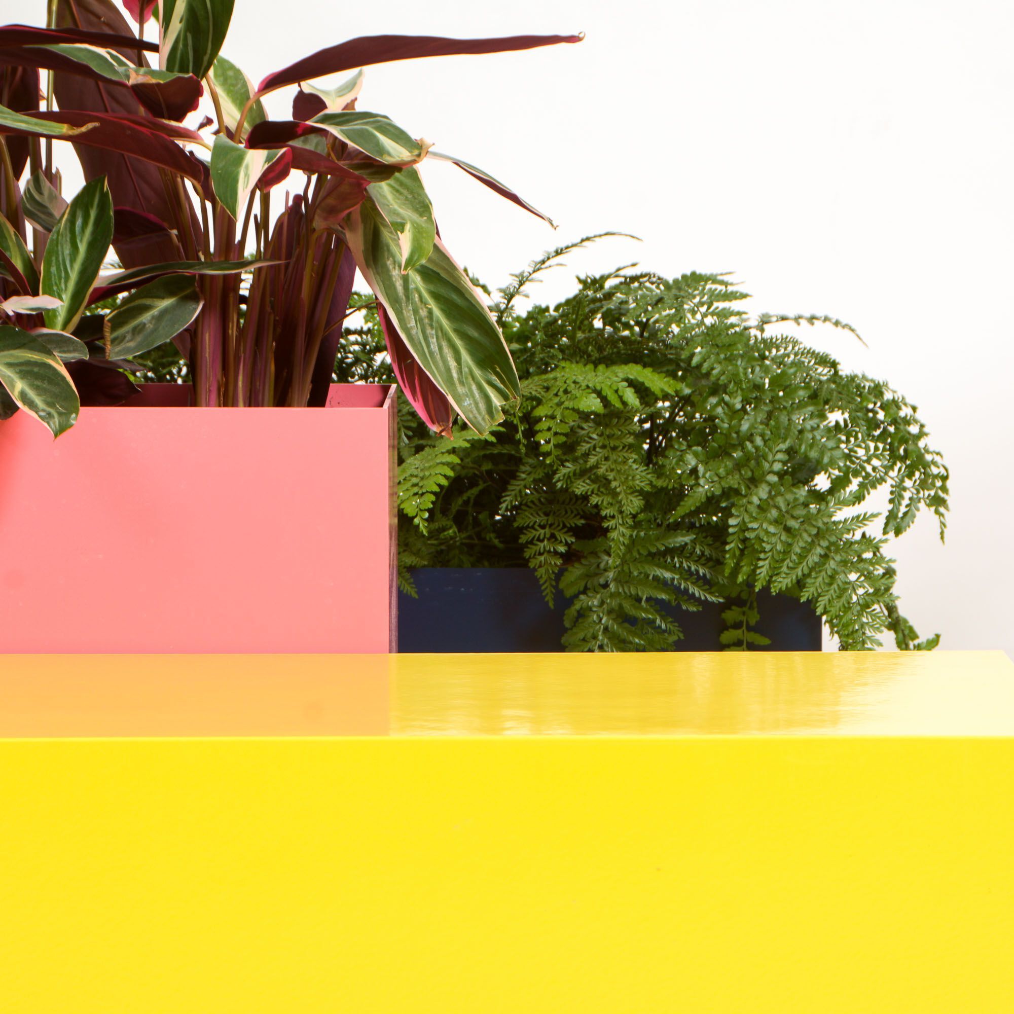 Низкая алюминиевая плантатор с порошковым покрытием SIXINCH PLANTER ARCH-00146353 - Вид №9