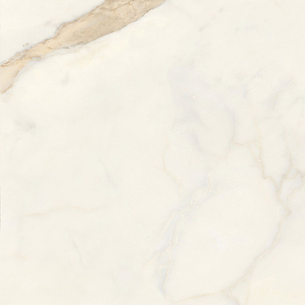 Пол / керамогранит с мраморным эффектом Italgraniti Marble Touch ARCH-00152884 - Вид №64
