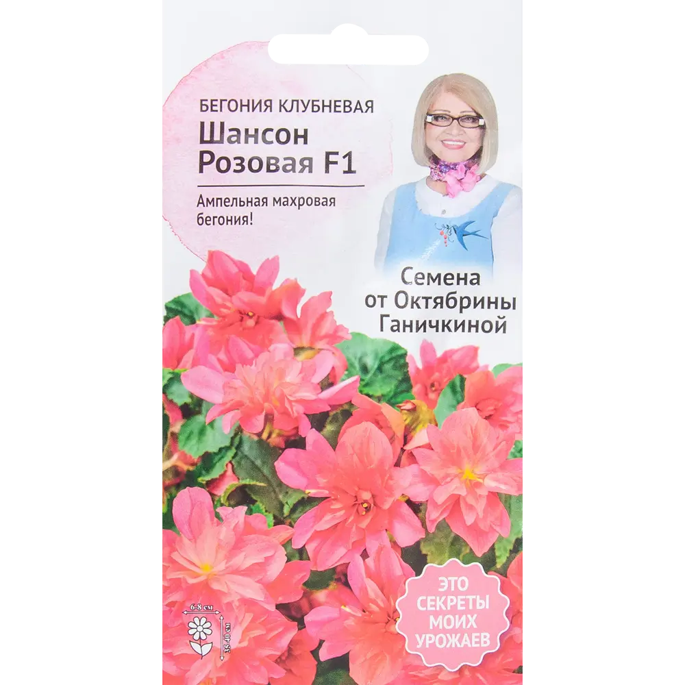 Бегония «Шансон» розовая F1 6 шт СЕМЕНА ОТ ОКТЯБРИНЫ ГАНИЧКИНОЙ STLM-2187299