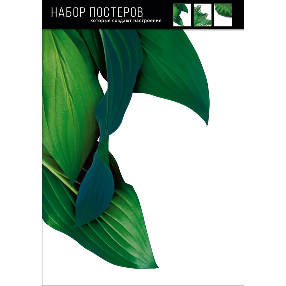 Набор постеров Изумрудная лаконичность 39x49 см АРТ ДИЗАЙН STLM-2067909 - Вид №1