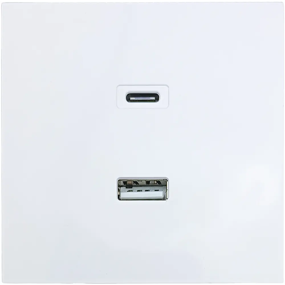 Розетка Lezard Zima с USB Type-C и классическим портом для современной зарядки 89398370 STLM-1578836