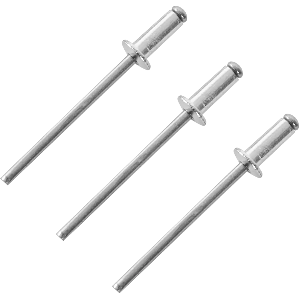 Заклепка 3.2x8 мм, 50 шт Santreyd STLM-2181254