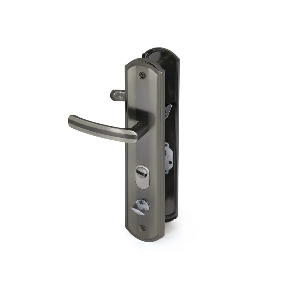 Ручка дверная входная на планке 50 правая, цвет серебристый PALLADIUM STLM-2161920