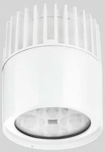 Reggiani Светодиодный прожектор для наружного освещения из литого под давлением алюминия Envios