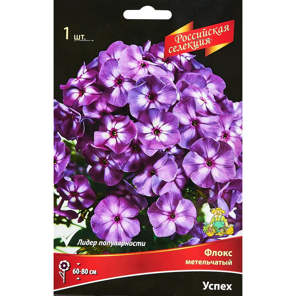 Флокс метельчатый Успех 89351892 STLM-2095572 ПОИСК 