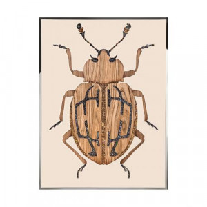 Beetle E Произведение искусства из ископаемого дерева Visionnaire