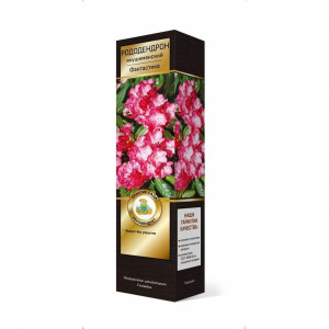 83786971 Рододендрон якушиманский Фантастика h37 см