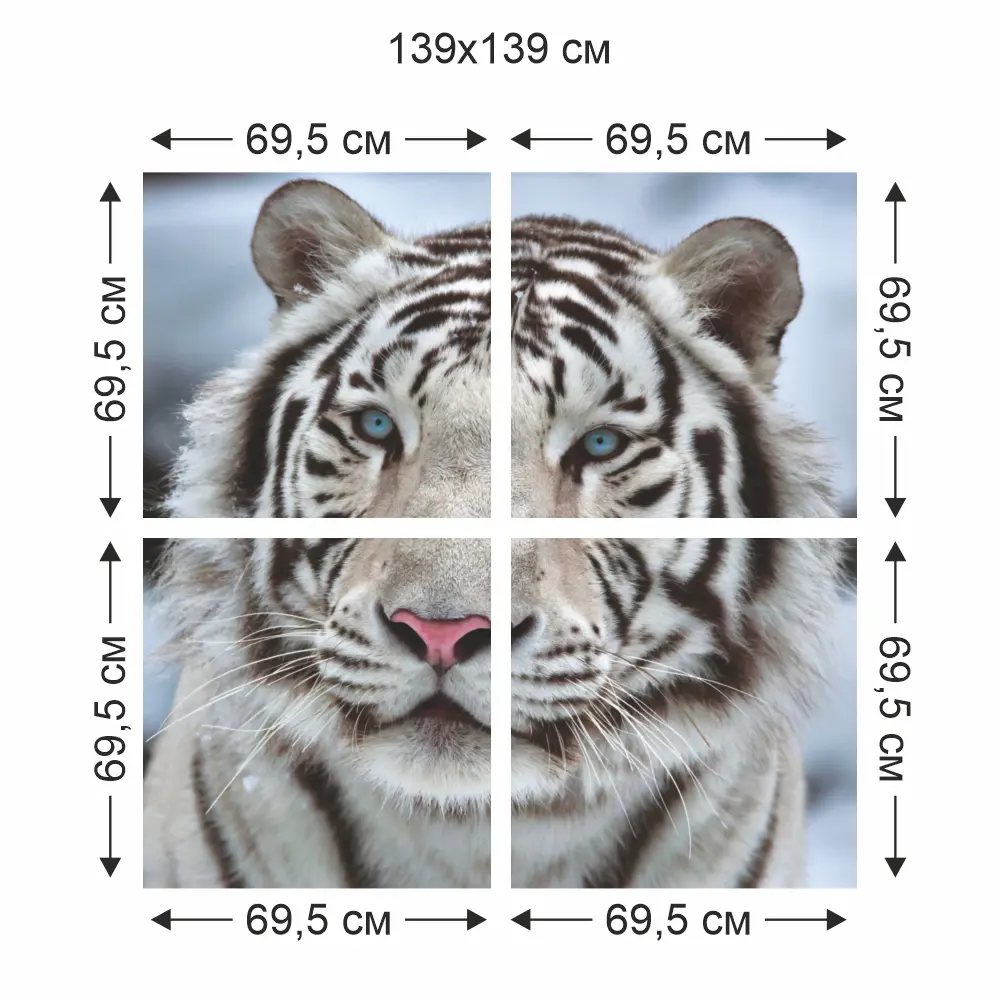 Фотообои бумажные Бенгальский тигр 139x139 см Симфония STLM-2205309 - Вид №1