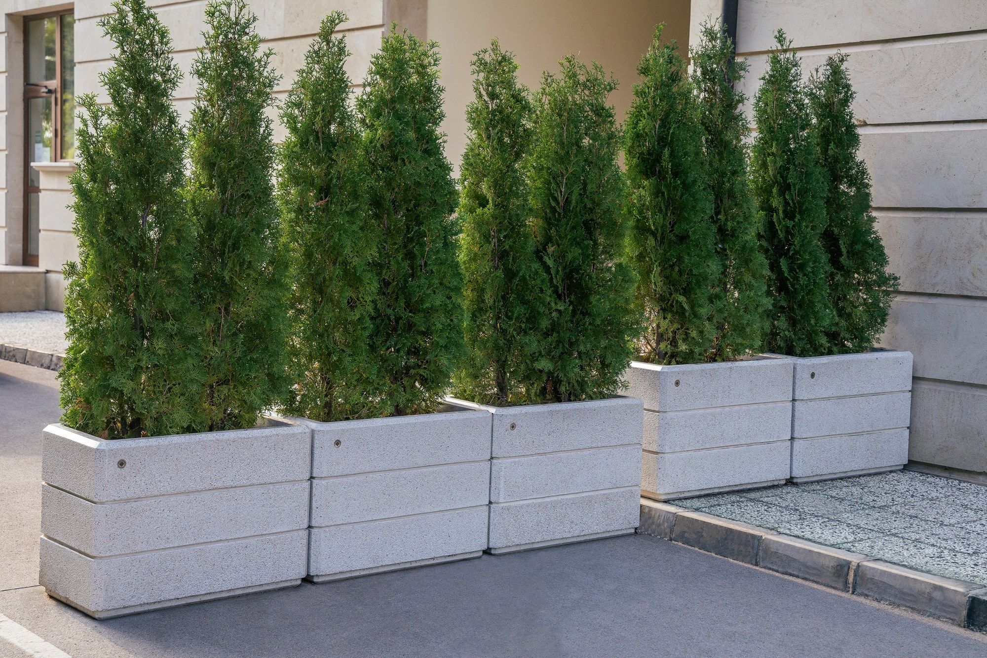 Бетонная плантатор ENCHO ENCHEV - ETE 78/79 ARCH-00121964 - Вид №6