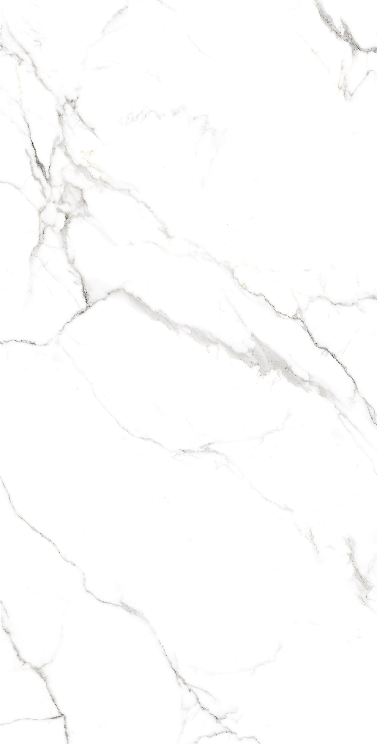 Керамогранит STATUARIO FINE 60х120 Arcadia Ceramica FP1039-A - Вид №4
