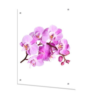 90679358 Стеновая панель Орхидея 60x75x0.4 см закаленное стекло цвет прозрачный STLM-0335378 BORNTOPRINT
