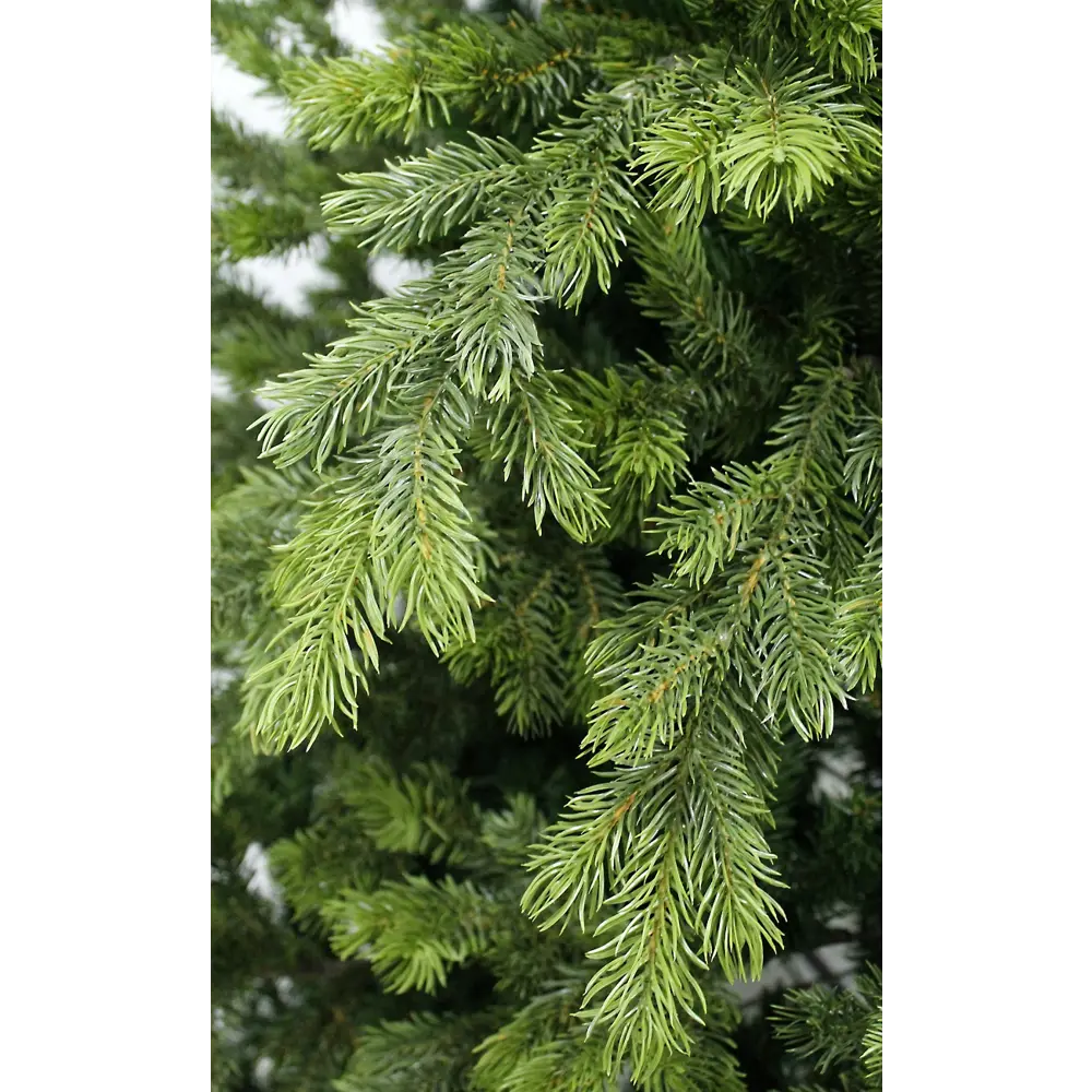 Ель новогодняя искусственная Emerald 240 см BEATREES STLM-2091381 - Вид №1