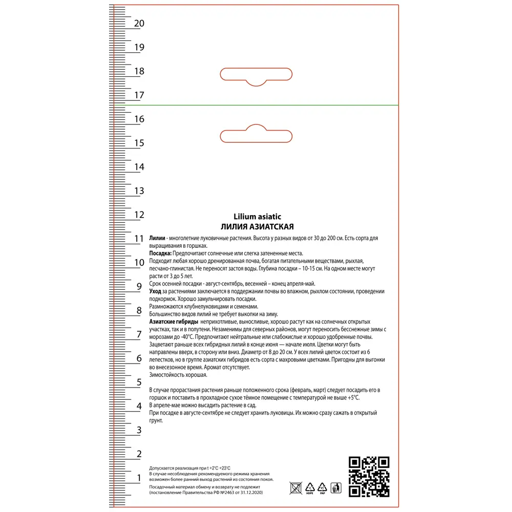 Лилия азиатская Тайни Глоу 89452300 STLM-2128315 ПОИСК  - Вид №1