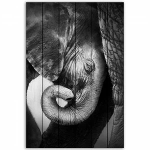 Картина на дереве 80х120 см "Слоны" ДОМ КОРЛЕОНЕ ЖИВОТНЫЕ 00-3963148 Черно-белый