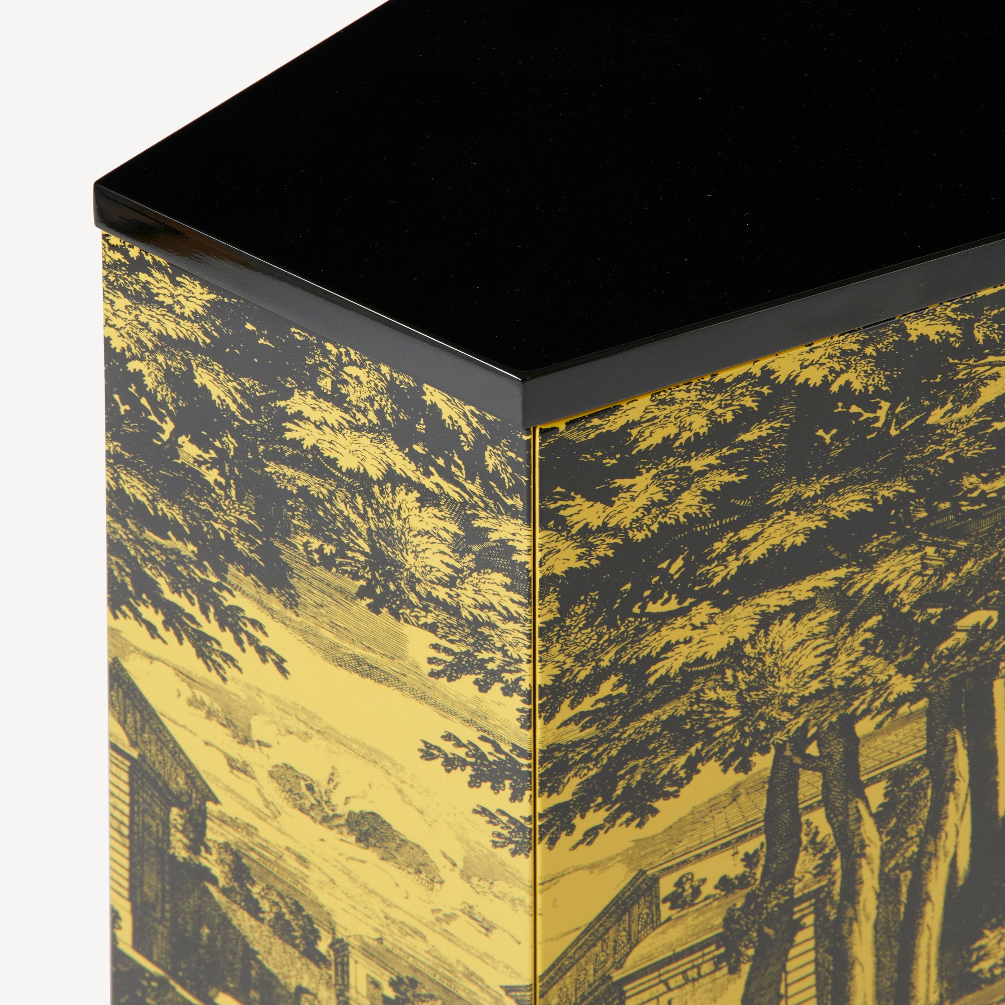 Маленький шкаф Fornasetti Giardino Settecentesco ARCH-00103876 - Вид №3