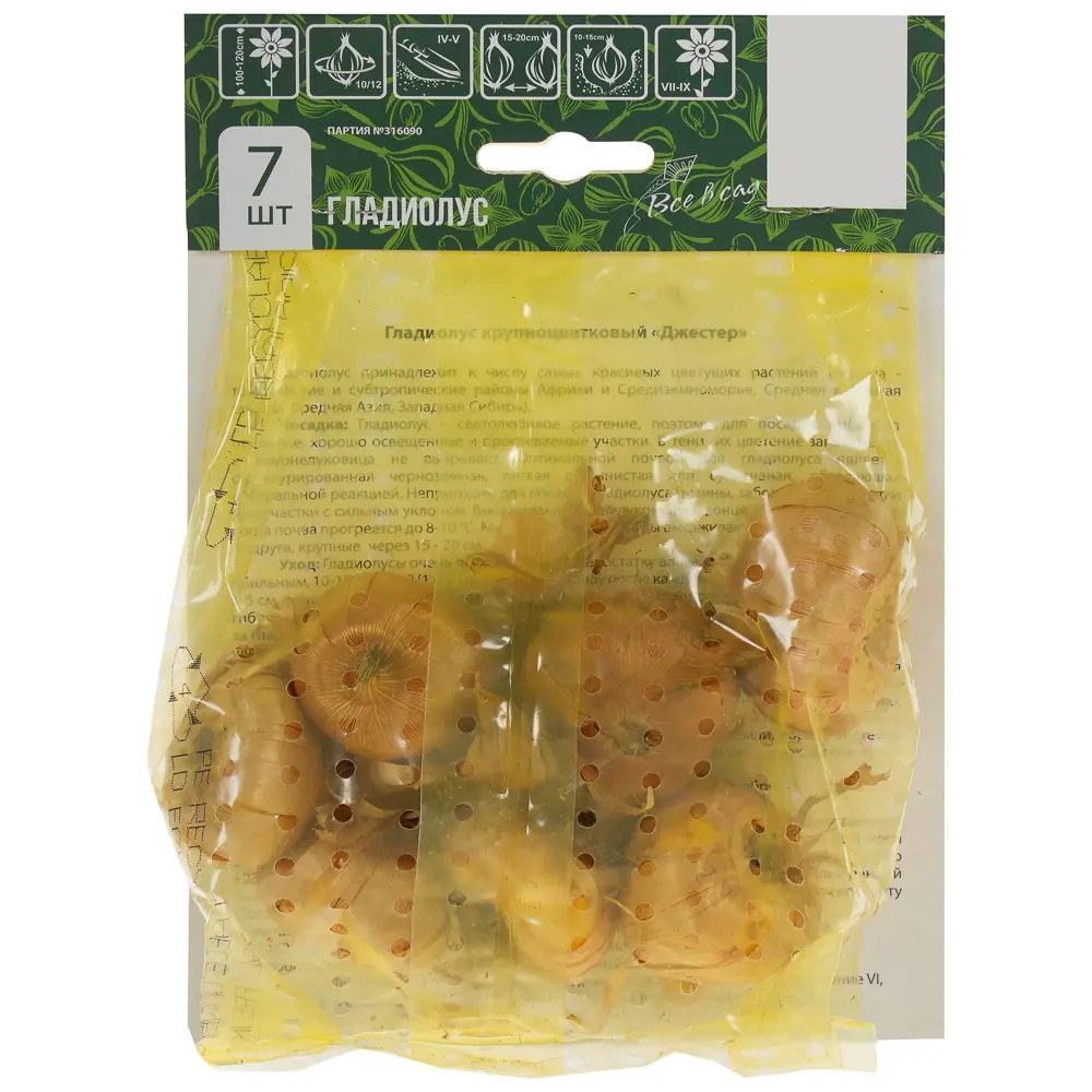 Гладиолус «Джестер» ВСЕ В САД STLM-2065435