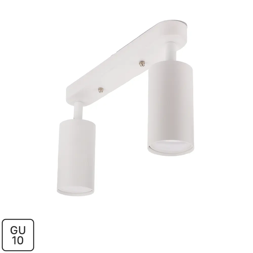 Поворотный спот Ritter Arton с двумя лампами GU10 для точечного освещения 83979296 STLM-0045771