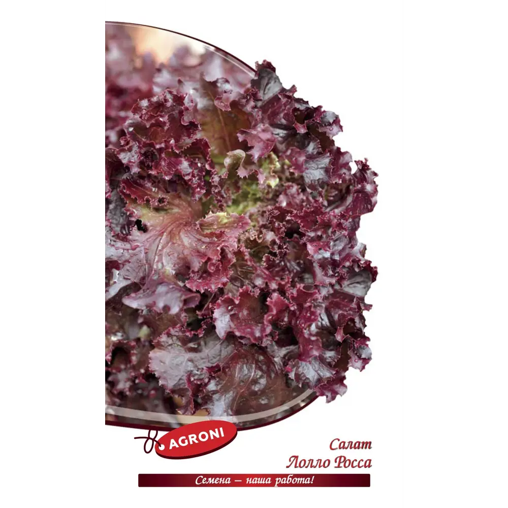 Семена зелени салат Лолло-Россо 13067896 STLM-2051082 Santreyd 