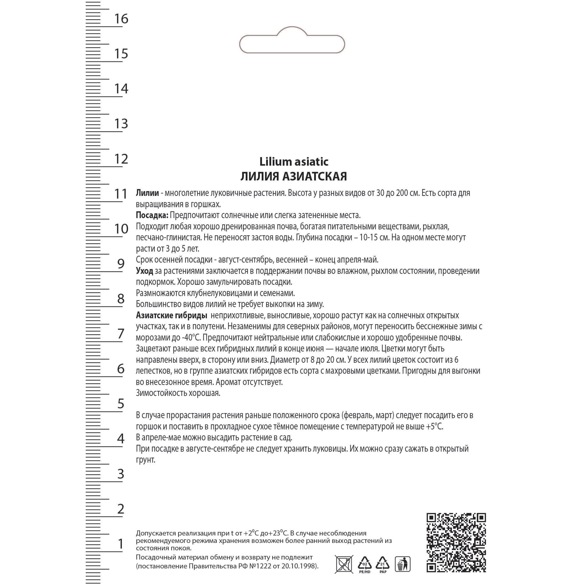 82530222 Лилия азиатские для патио «Тайни Гоуст» Santreyd  - Вид №1