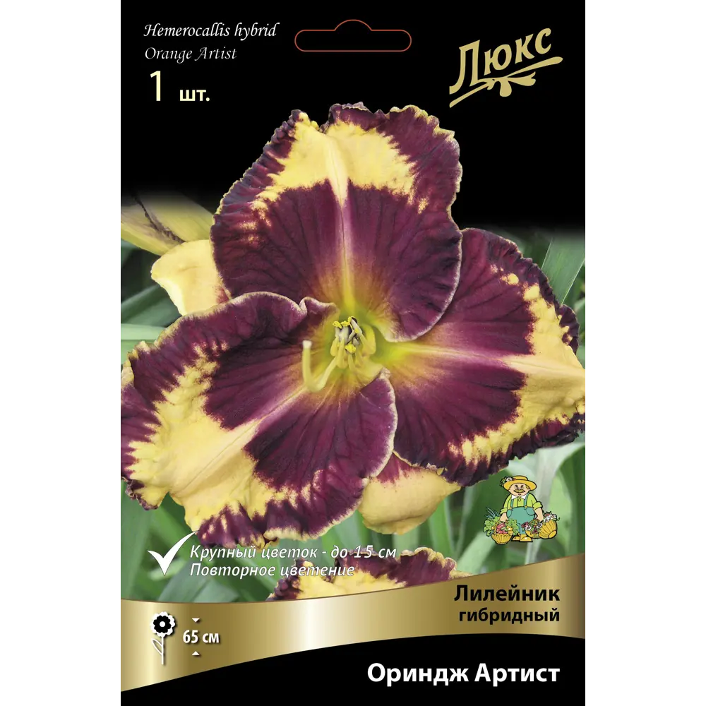 Лилейник гибридный Ориндж Артист ПОИСК STLM-2148034