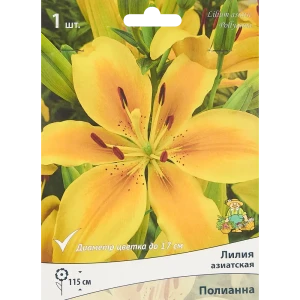 Лилия азиатская Полианна 85205808 STLM-2198352