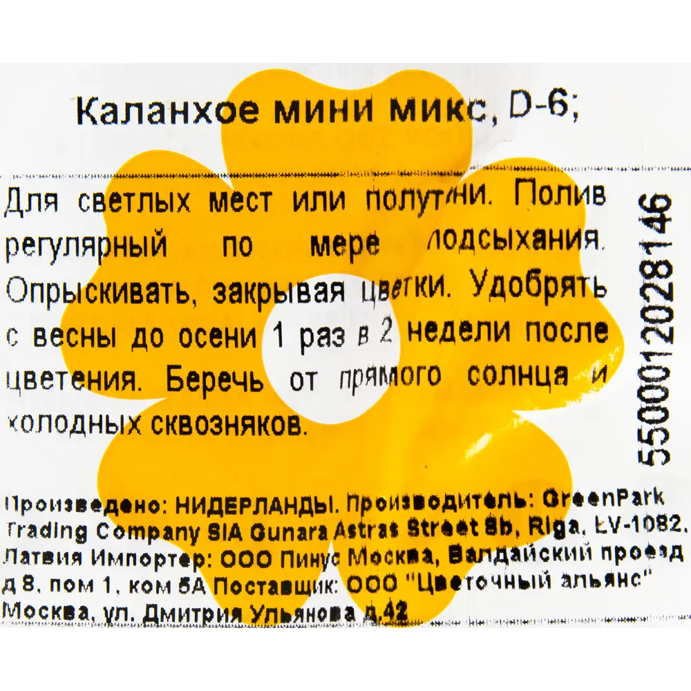 Каланхое мини микс 6х15 см 12500846 STLM-2011131 Santreyd  - Вид №2