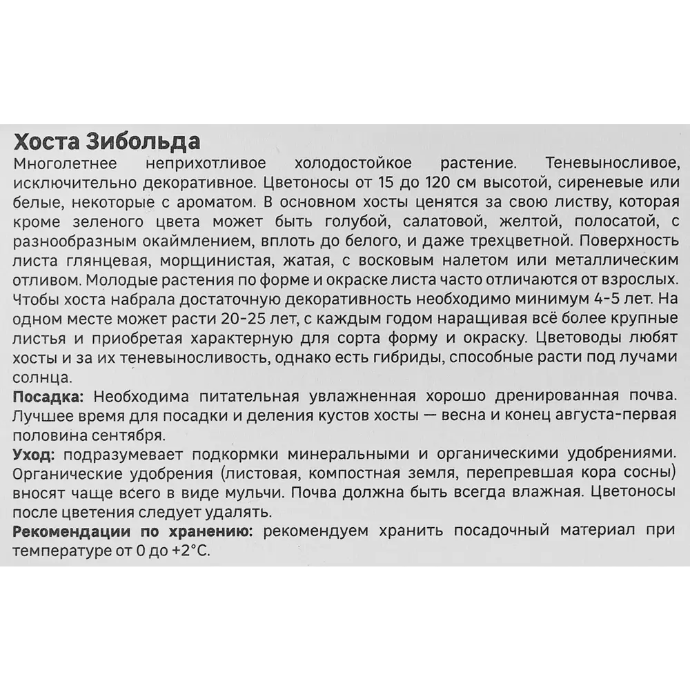 Хоста Зибольда Фрэнсиз Вилльямс Santreyd STLM-2117394 - Вид №3