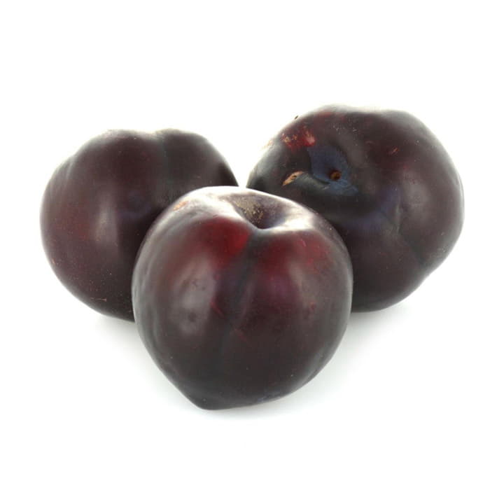 Слива Черная Отборная Santreyd 18798