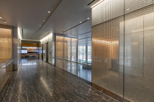 FSRT632 Система обшивки стен Levelr с панелями из вивистрата, слоями стекла в отражающей конфигурации с индивидуальным гравированным рисунком и стандартной отделкой, а также выступами из нержавеющей стали в Frost Tower, сан-антонио, техас Forms-surfaces