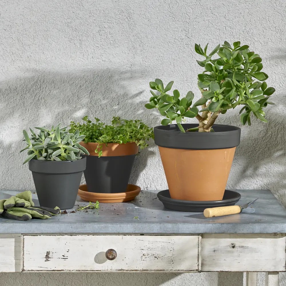 Аэрозольная эмаль Luxens Антрацитово-серый для интерьера и экстерьера 83237386 STLM-0039744 - Вид №5