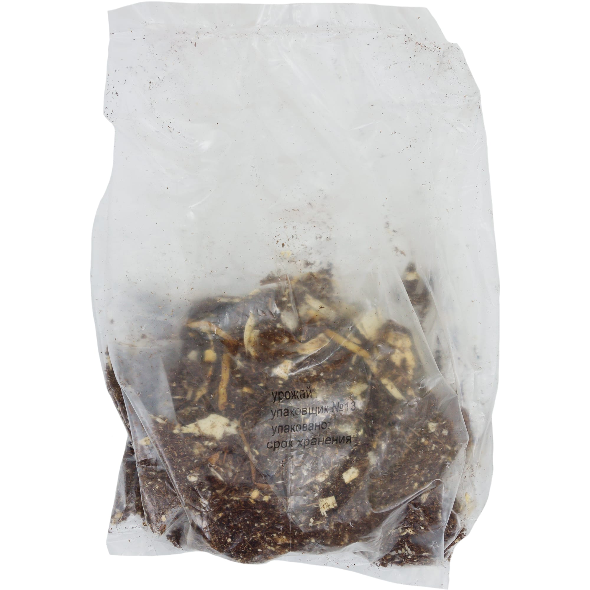 82118705 Лилии трубчатые «Африкан Квин», размер луковицы 14/16, 1 шт Santreyd  - Вид №1