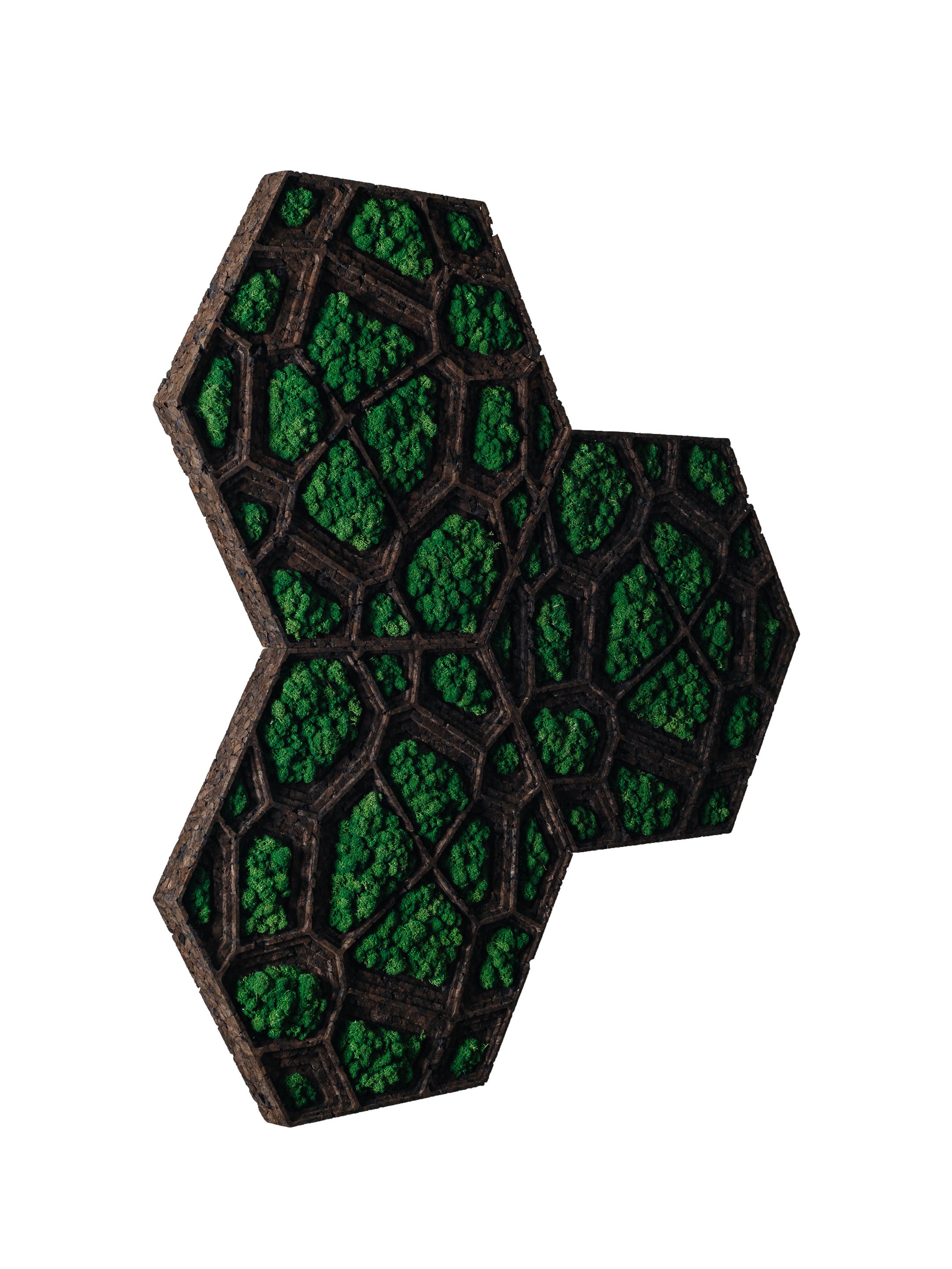 Пробковое покрытие GENCORK CORKVOR ARCH-00101957 - Вид №1