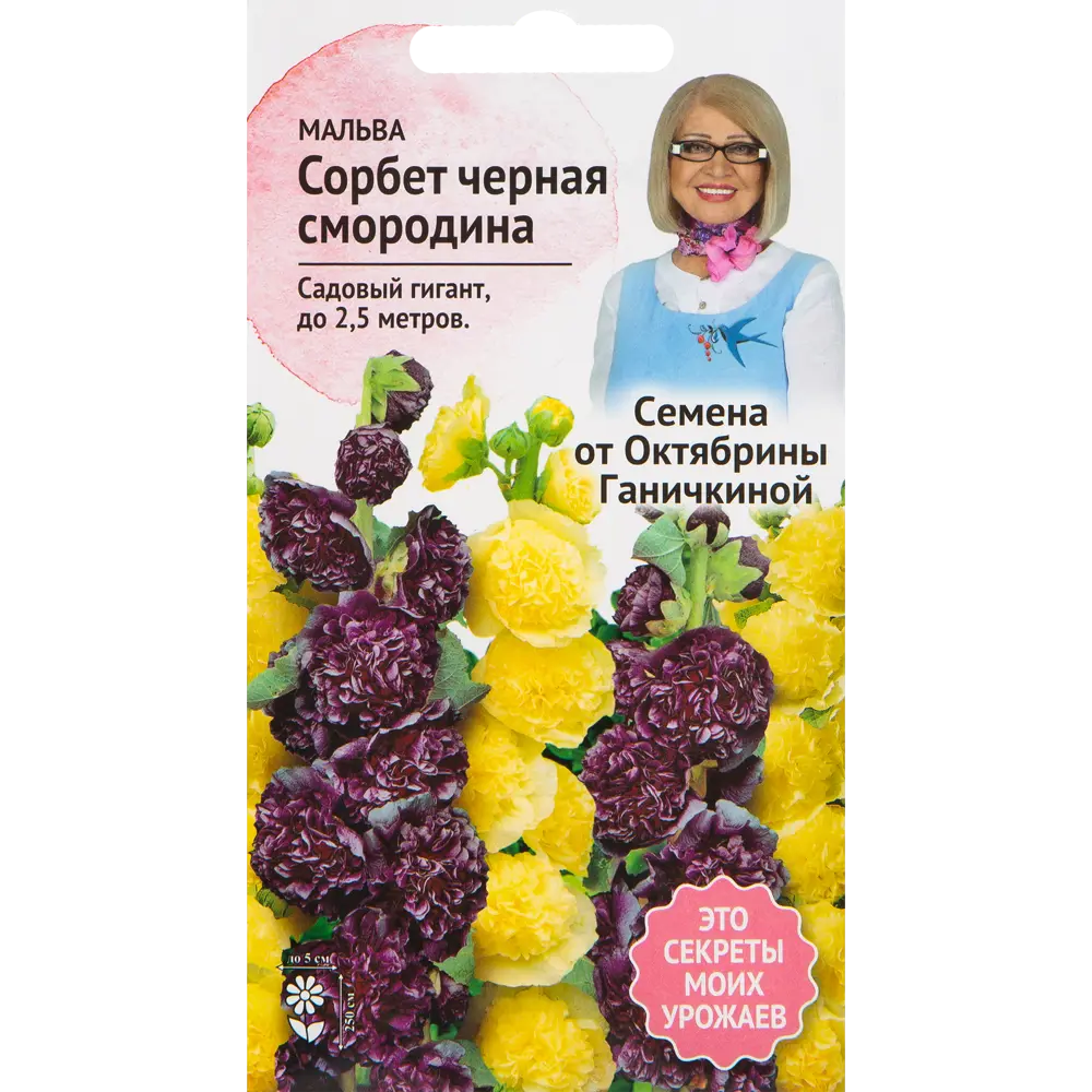 Мальва «Сорбет Чёрная смородина» 0.1 г СЕМЕНА ОТ ОКТЯБРИНЫ ГАНИЧКИНОЙ STLM-2065808