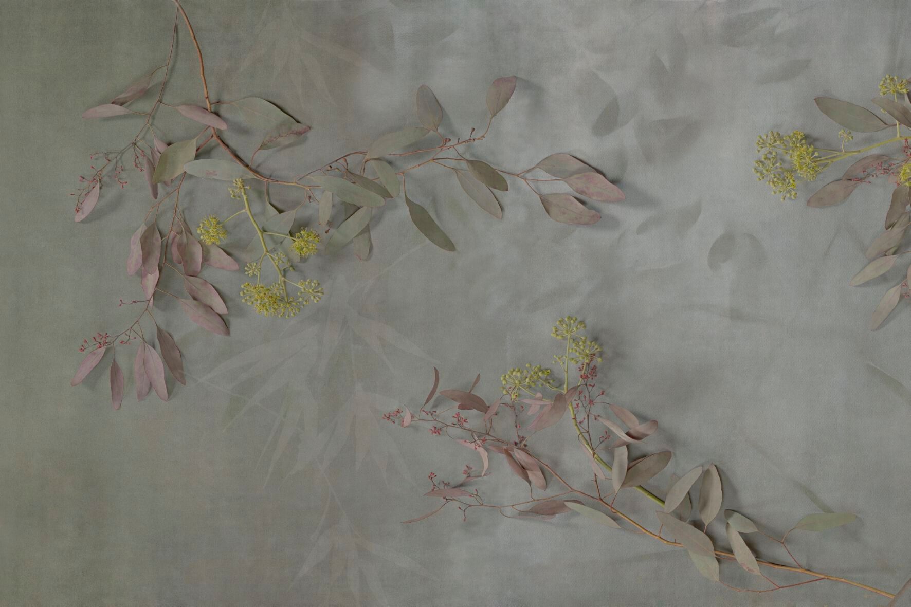 Обои с цветочными мотивами GLAMORA Creative Collection Chapter XIV ARCH-00074998