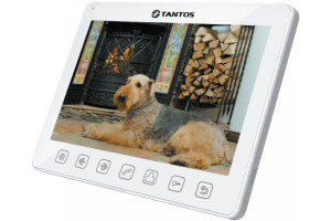 15536705 Монитор видеодомофона Tango+ White Tantos