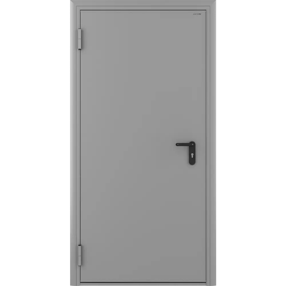 Дверь техническая 980x2050 мм левая цвет светло-серый RAL7035 DOORHAN STLM-2072905