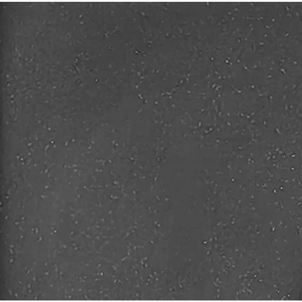 GRANFEST Smart GF-SM 435 - Кухонная мойка из мраморной крошки черного цвета 89364735 STLM-0883972 - Вид №3