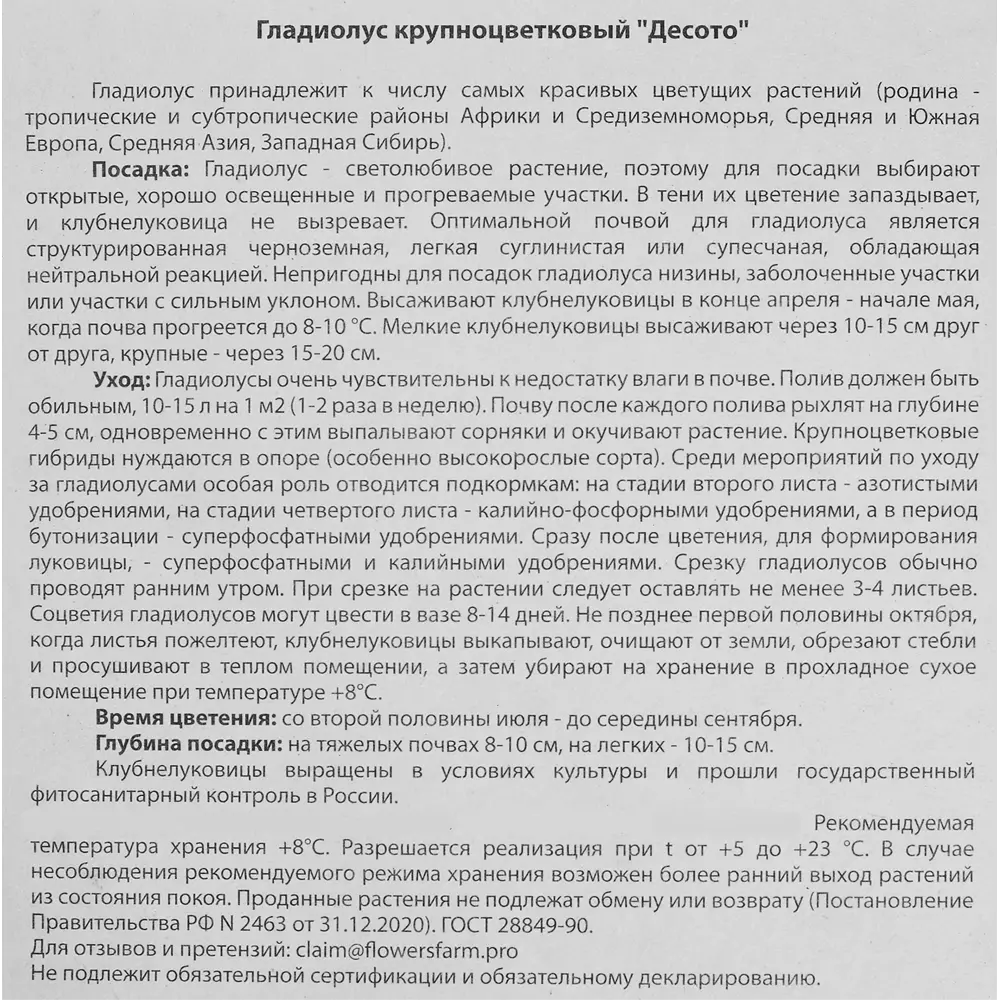Гладиолус крупноцветковый Десото 7 шт BLOOMING LIFE STLM-2150446 - Вид №2
