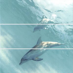 Искья Дельфины обрезной  HGD\A55\3x\12093R 25х75