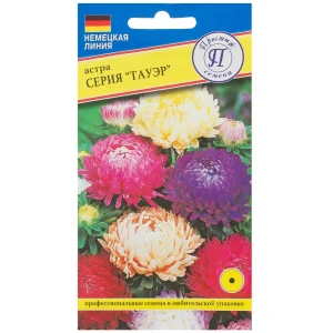 Астра «Тауэр» смесь всех цветов